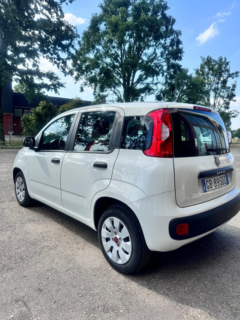 FIAT PANDA - NATURAL POWER - METANO - EASY